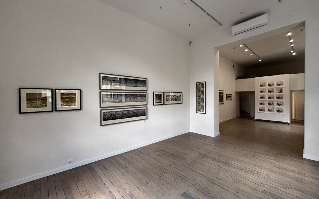 Shum Gallery